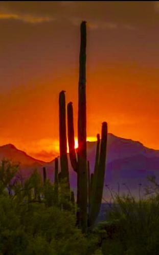 7C75BAC9-906E-420C-968A-F0764C8F14CD