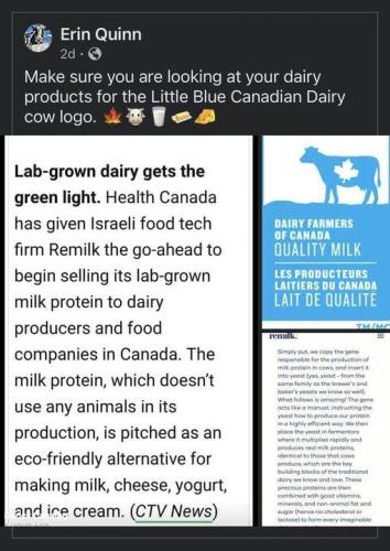 lab grown dairy