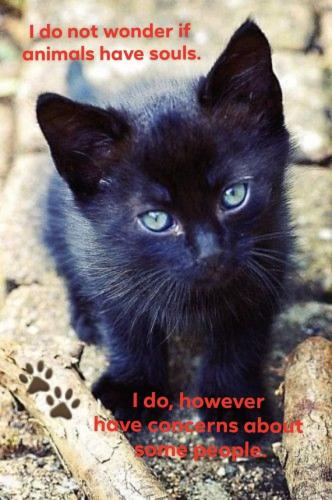 2229c2c064e871a899a8c3e0230f75d7