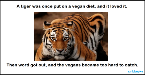 vegan_diet_for_tiger