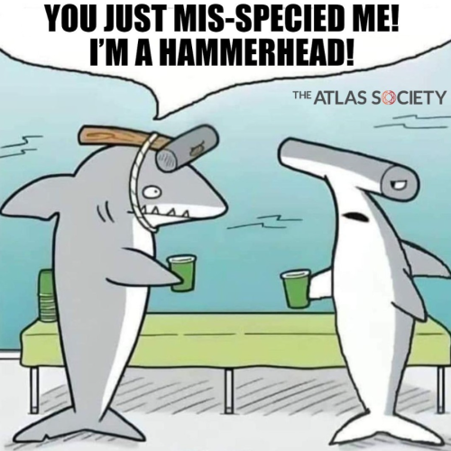 Screenshot 2024-02-11 084602