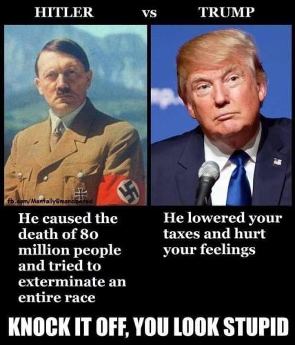 hitler vs trump caused death of 80 million tried genocide trump hurt feelings lowered taxes stupid crybaby nazi