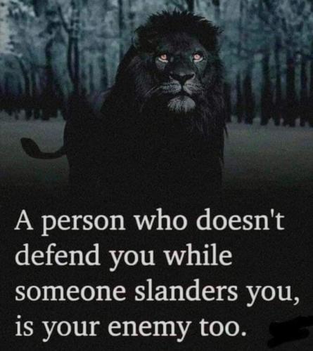 FB_IMG_1707068825974