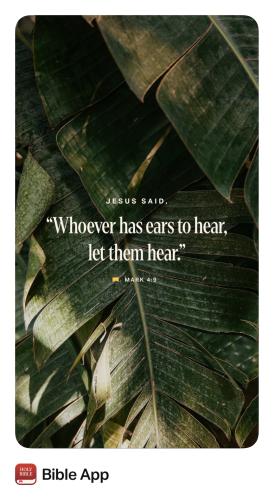 11:23:01 GMT-0500 (Eastern Standard Time).image