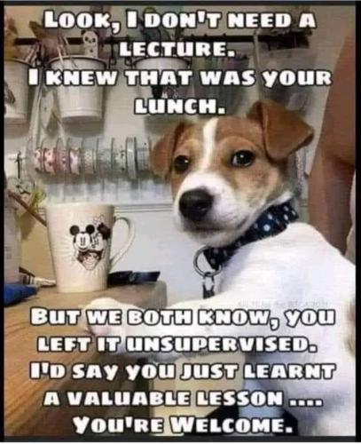 3d04aa3034a1ab4ddec42435951b764a