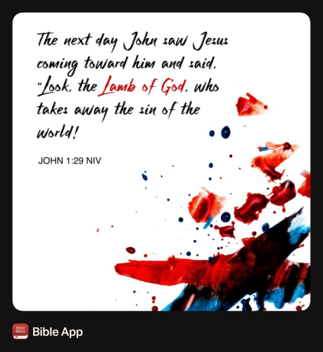 FAITH - John 1.29 NIV
