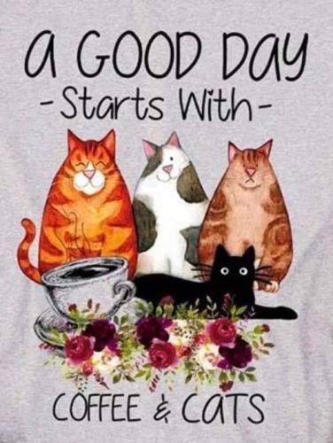 428599005_2757583374409771_4777516496189242656_n