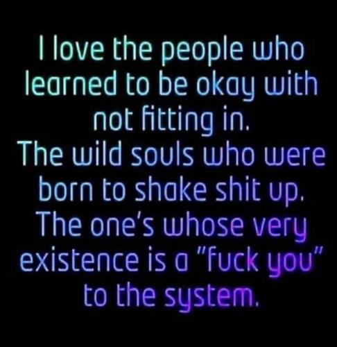 sngine_48d79089312e4848947520c9314260a6