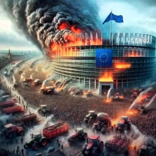 IMG_20240201_205420_258