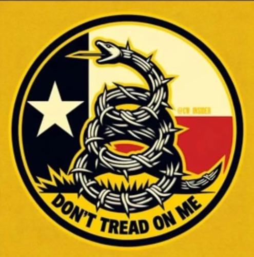 photo_2024-02-05+13_30_19++0000