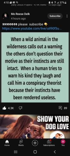 Screenshot_20240208-041020_YouTube