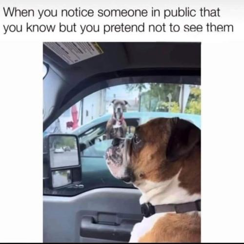 FB_IMG_1707527323729