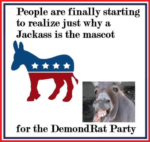 shutterstock-319420406-915989207