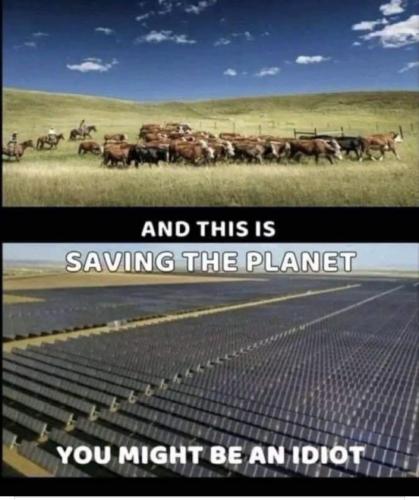 Screenshot_20240224_130344_Facebook