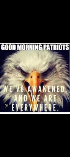 Screenshot_20230918-080905_Gallery