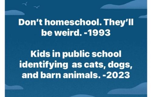 Screenshot_20240213_005741_Instagram