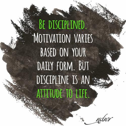 1B-Discipline - Andy Waar