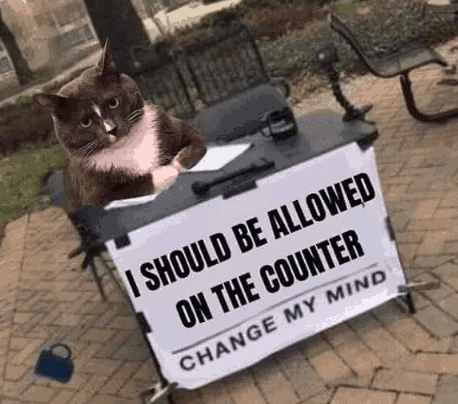 should-be-allowed-on-counter-change-my-mind