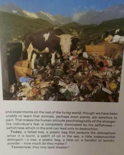 received_351463320971817_kindlephoto-320007668