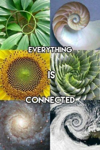 426666253_874531928014031_3677999138577250984_n