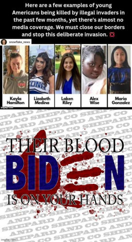 sngine_636550ca085267f34f4d7cef97fa0257