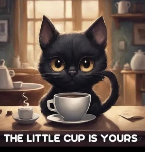 408966398_3685755054971768_3140214945277629527_n