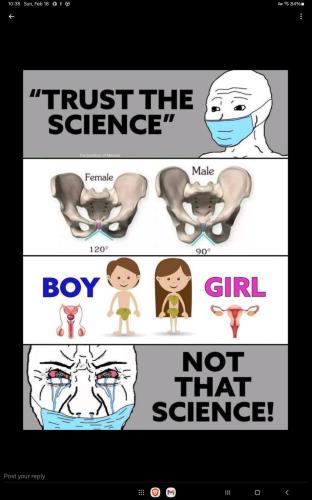 Screenshot_20240218_103836_X