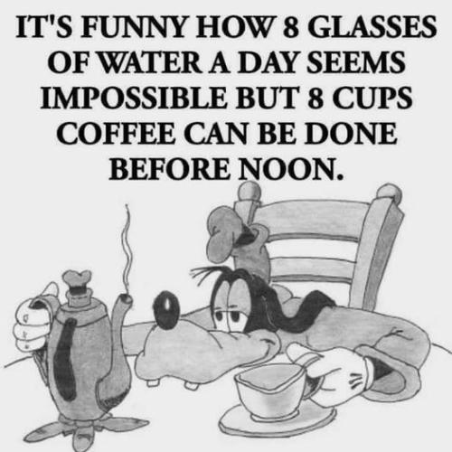 423311861_7727031070664123_2047191344233570604_n