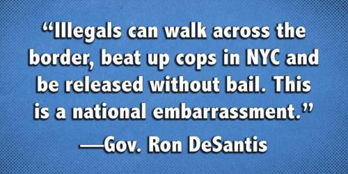 sngine_b5c2d105559caca9d73e6de13d46f0bb