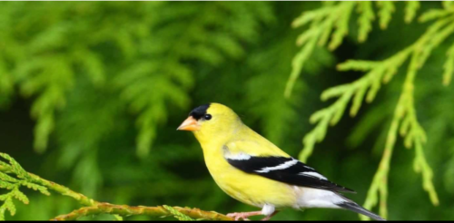 Screenshot_2023-11-08-23-17-49_kindlephoto-178817316