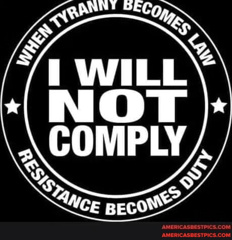 53c966f079c637bf0f10057ef1a5d2a728000f6e3fb4134fc610da0d1f2608c2_1