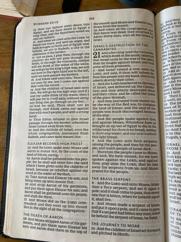 F9575450-D197-4105-B645-418CD6DAD93C