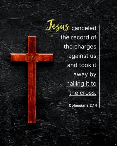 333029454_564641348945197_6485858406330363462_n