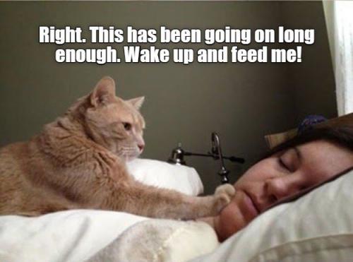 right-this-has-been-going-on-long-enough-wake-up-and-feed