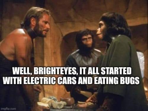 426438950_419524627314685_8287057268631866157_n