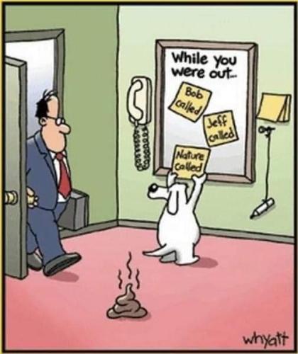 427086189_918993156557273_4657841717445091165_n