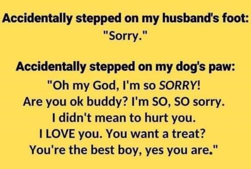 ec2518ad5bb96811082fcf262c9ca40b