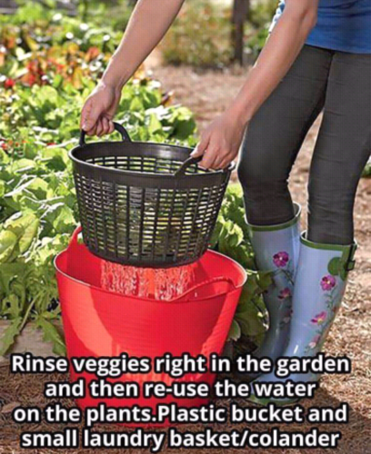 Screenshot_2024-02-26-23-25-41_kindlephoto-531924577