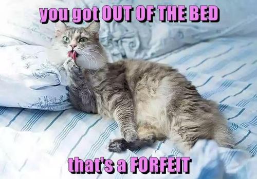 9a4ab17721eac3cf955ff51a197e04f2