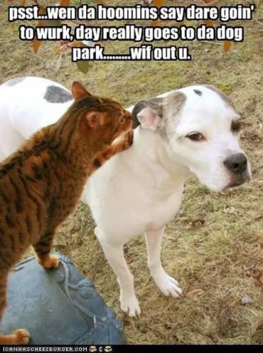 a21c4208776142fe98de5b3076fed76a