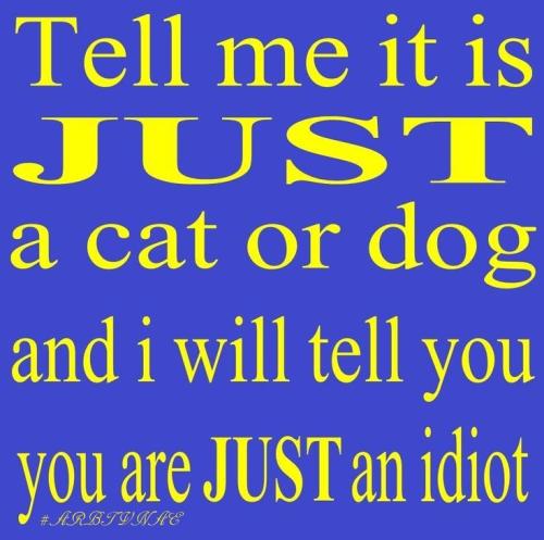 905218c08ee70bf5d63b3fff68059a07