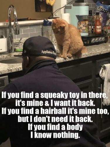 c1d6014c8bc1c6aad9fbd8608c132c9b