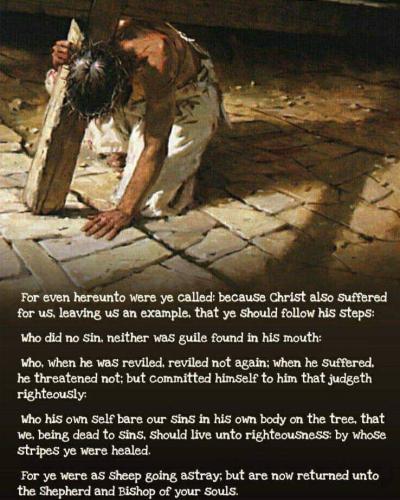 3610def6-e599-48e8-879d-d94c7dfda88b