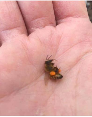 Screenshot_20240224-203456_Facebook