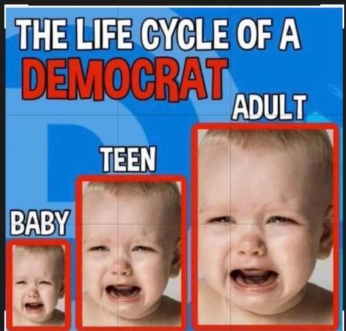 FB_IMG_1709047561119