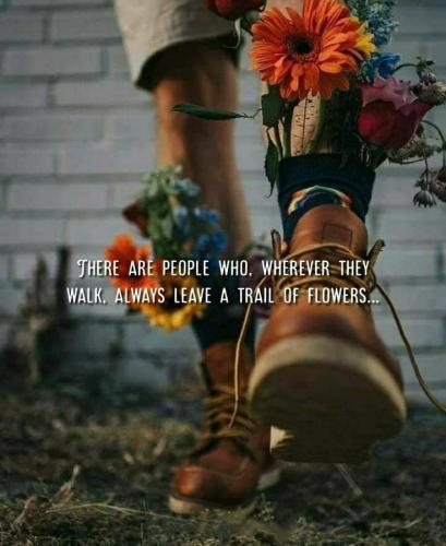 428612944_411405434719442_9165948046842259187_n