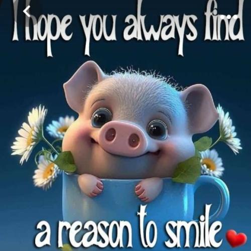 m_651640c281078acf066d942b