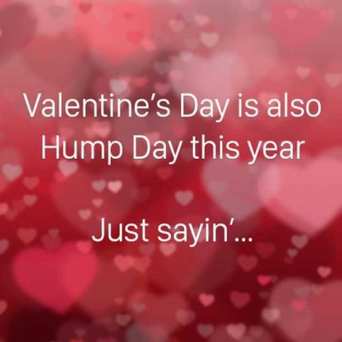 1-Hump Day - Valentine's Day!