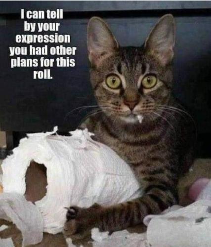 ecd38da1b728a545c1d5cb2b50296f9c