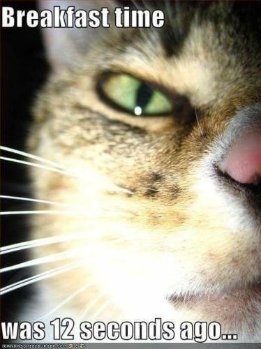 70f65a06e70221d01e27bf67b9851b5c